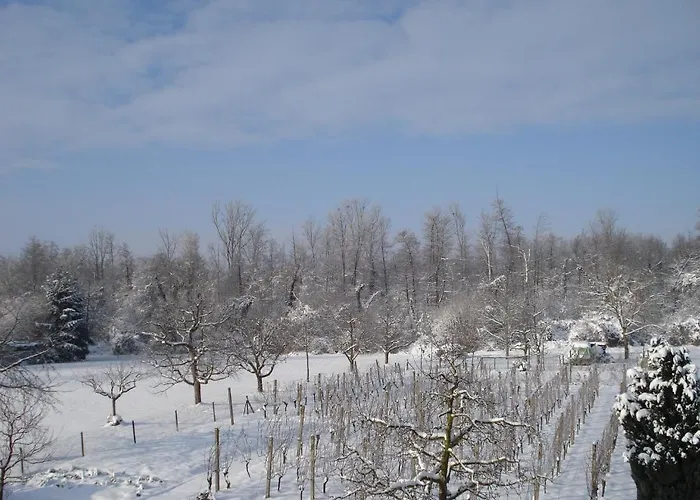 - Gaestehaus Gertrud Moog- Rust